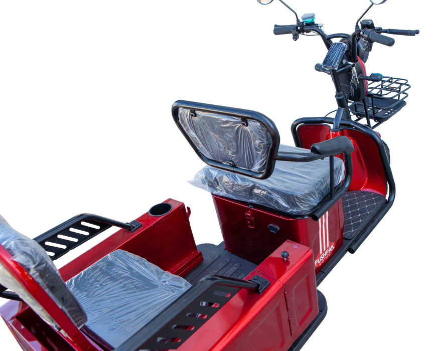 Pushpak 3000